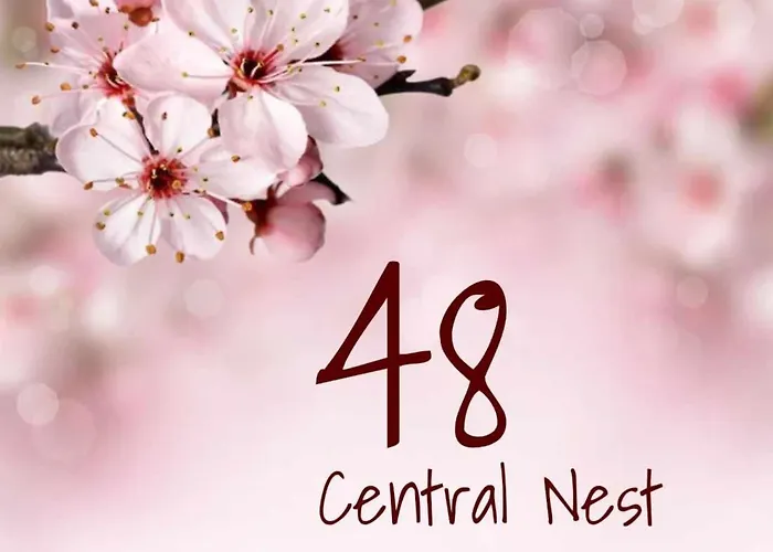 48 Nest 公寓 *